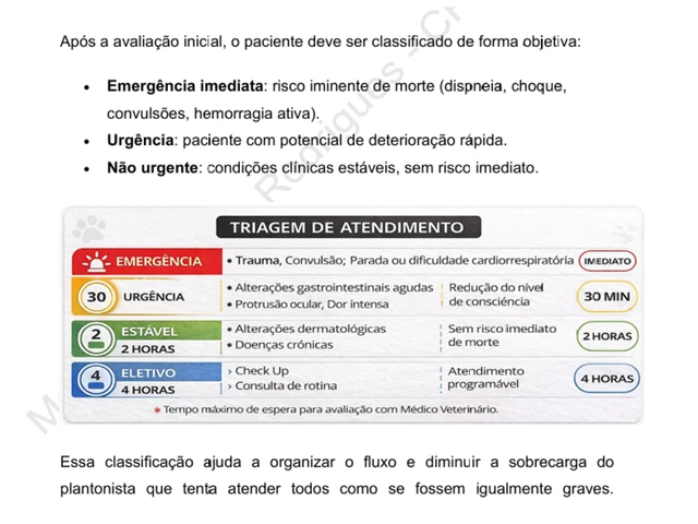 Tela do guia: página 6, tabela de triagem e classificação