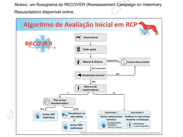 Tela do guia: página 49, algoritmo de avaliação inicial em RCP