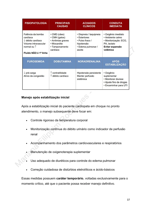 Página 3 do Guia para Plantonista Veterinário