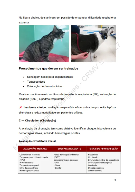 Página 5 do Guia para Plantonista Veterinário